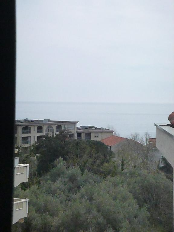 Apartman Ozi Petrovac Εξωτερικό φωτογραφία