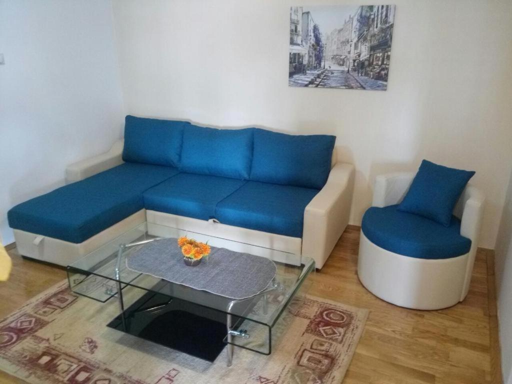 Apartman Ozi Petrovac Εξωτερικό φωτογραφία